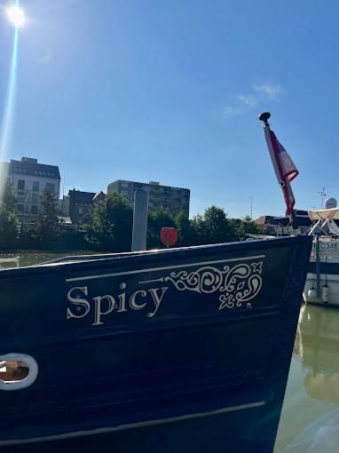Spicy - Sejour Insolite Sur La Marne Meaux Exterior foto
